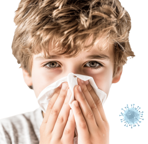 Air Ducts Cleaners Pearland TX